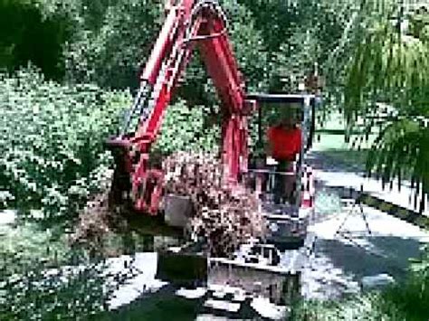 bamboo removal with mini excavator|bamboo infestation.